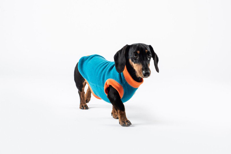 New Dog Jumpers &amp; Early Bird Offer, Perfect for the Muddy Times Ahead - mailchi.mp/dogsnug/spring…