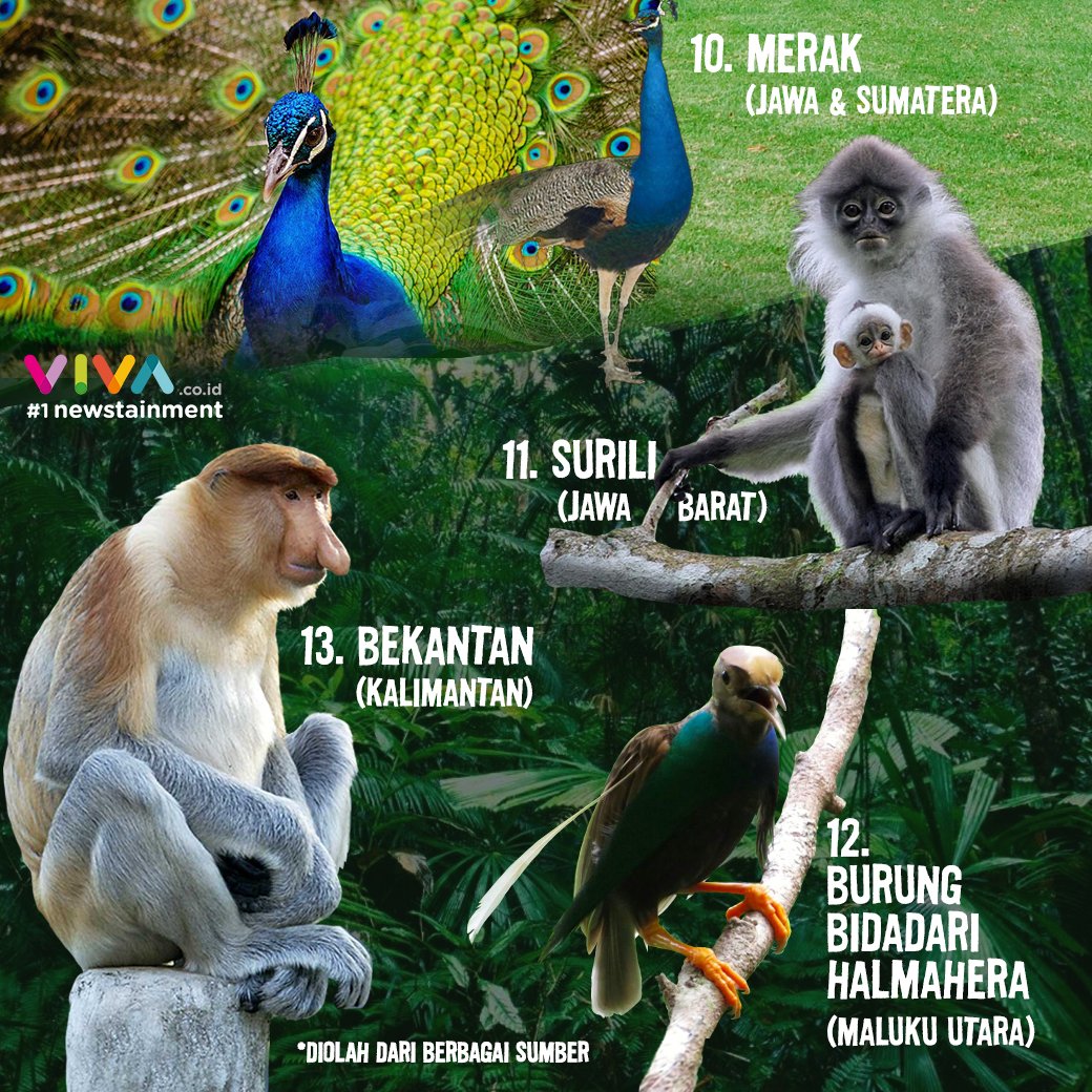 Vivacoid V Twitter Namun Sayang Tanpa Kita Sadari Beberapa