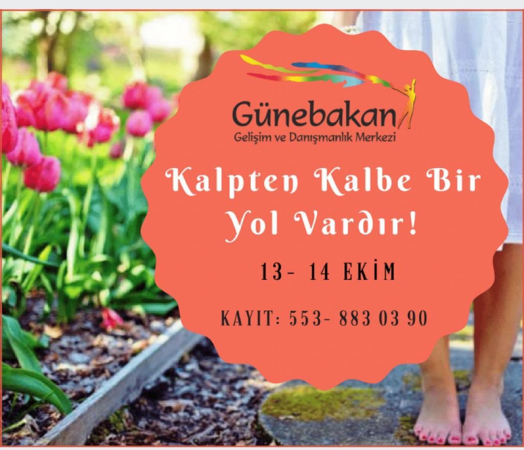 Esin Erek tweet media