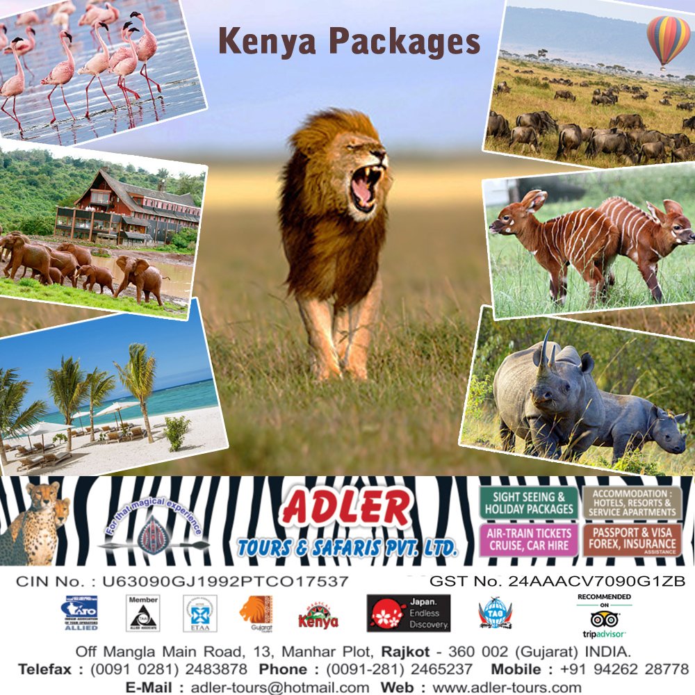 African_Chettah's tweet image. Looking for a Wild, Untamed experience?

#Kenya is the right answer

#RelaxwithNature 
#ExploreyourWildSide 
#8thWonderoftheWorld 
#ExperienceofaLifetime

#Masai Mara #Aberdare #LakeNakuru #Mombasa

Tours starting from : INR 1,03,500* 

Contact us for more details #adlertours