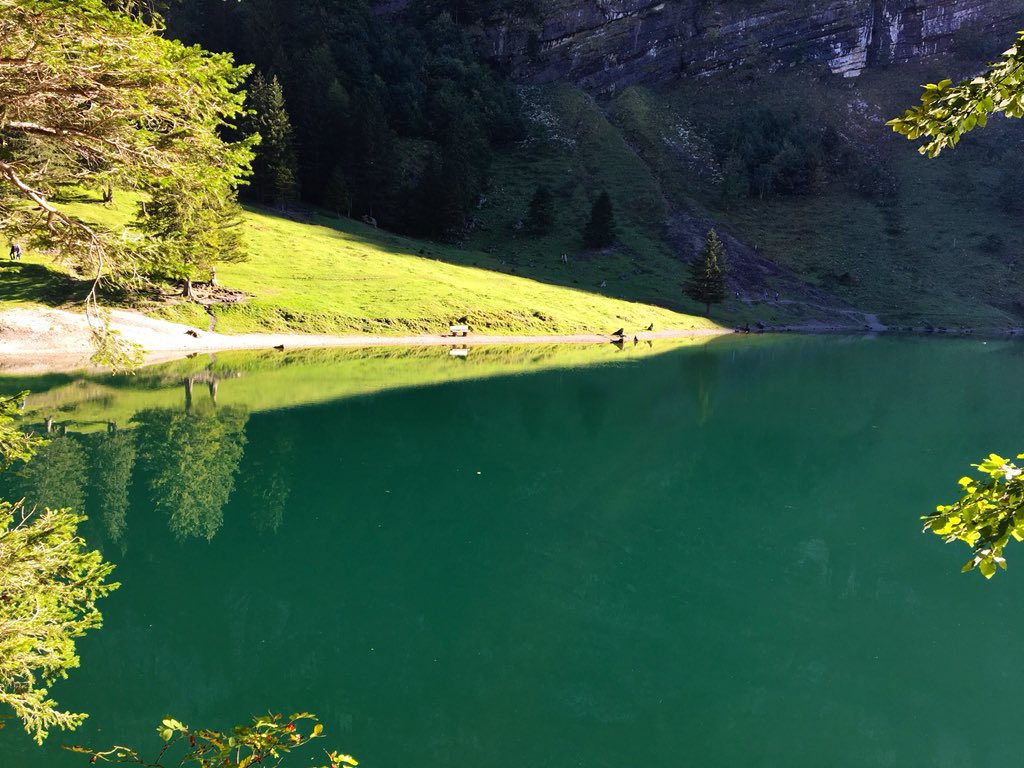 Neulich am #Seealpsee 

<a href="/MySwitzerland_d/">Schweiz Tourismus</a> <a href="/appenzellerland/">Appenzellerland Tourismus AG</a> #InLoveWithSwitzerland