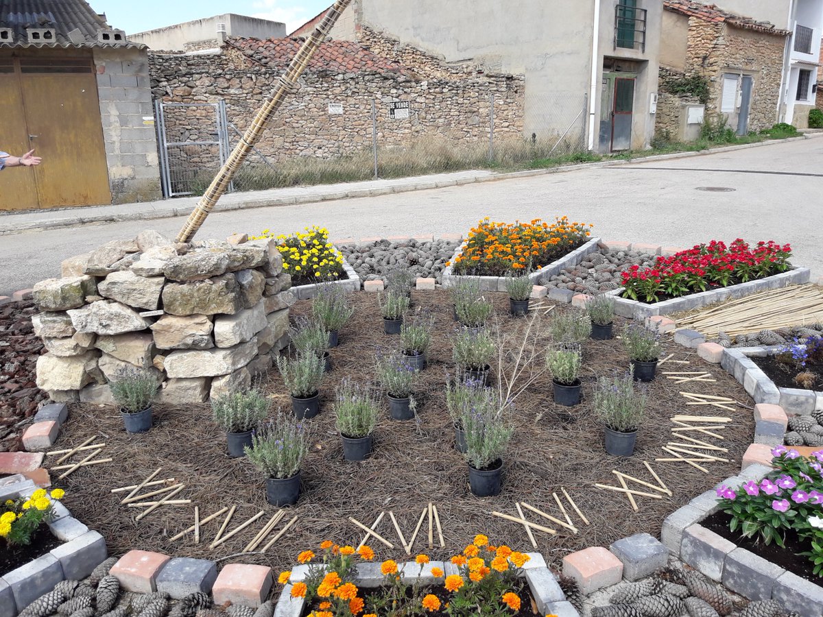 sergiogvicente's tweet photo. Un ejemplo del por qué de este premio para @ArasdelosOlmos1 por #Iberflora18 https://t.co/Q0fj9rKPW6