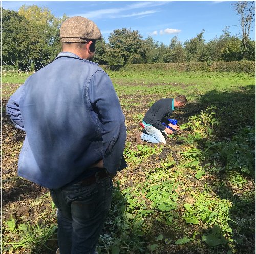 pgd_recycling's tweet photo. Robin 'working' hard in the field watching Tom harvest potatoes for a segment on BBC’s Saturday kitchen live. Watch today's programme &amp; learn how Tom uses our #foodwaste #soil to grow fresh produce for The Dairy in Clapham #bbc #saturdaykitchenlive #robingill #LARDER https://t.co/DOB2qnlfvV