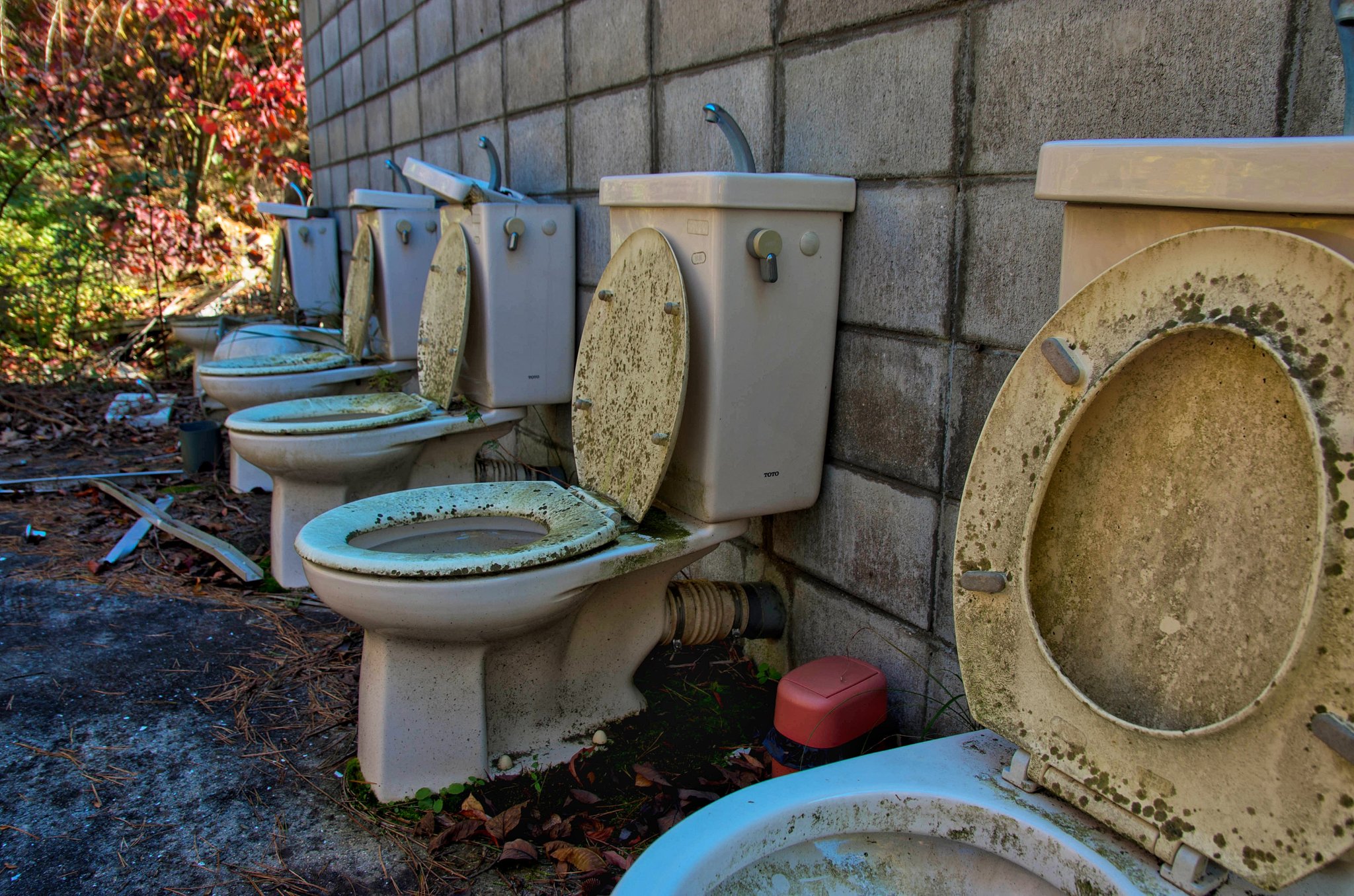 廃墟　トイレ 