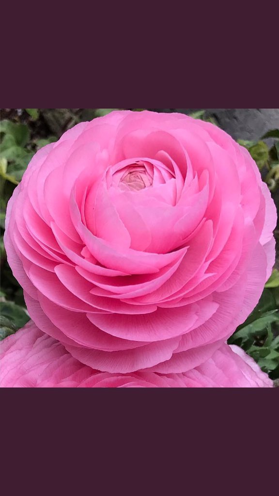 #اللهم لا تجعلنا نضر أحداً من خلقك قصداً منا او جهلاً، واجعل لنا ذكرا حسنا، واثرا طيبا، ومودة في قلوب الخلق.

#اللهم اهدنا لأحسن الأخلاق والأقوال والأعمال لايهدي لأحسنها إلا انت