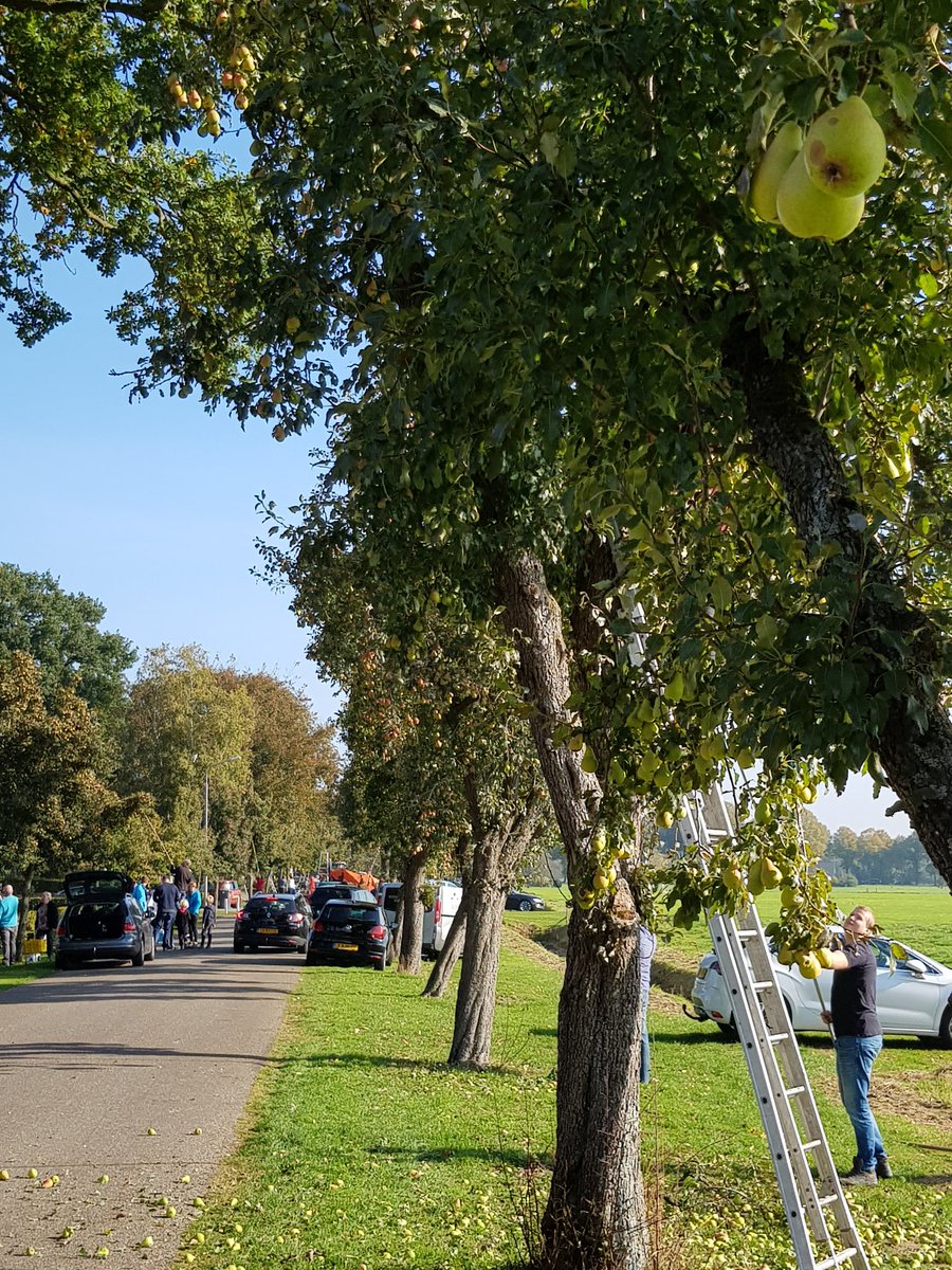 Volop drukte <a href="/Perenpluk/">Perenpluk Ruinerwold</a> #Ruinerwold. Het einde is nog niet in zicht