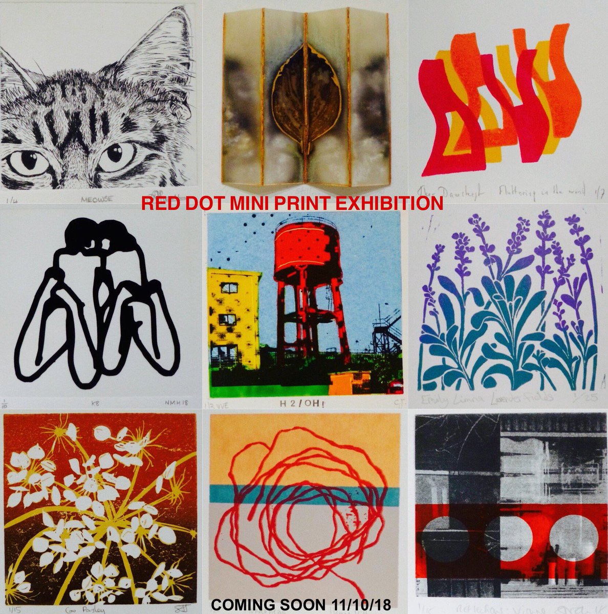 Lartishe's tweet photo. Coming to the gallery next week on Thursday. A chance to see some world class printmakers in Swanage. @RedDotArtConsul @SwanageTIC @virtualswanage @DorsetTourism @goDorset @DurlstonCP https://t.co/Img0YCVk3T