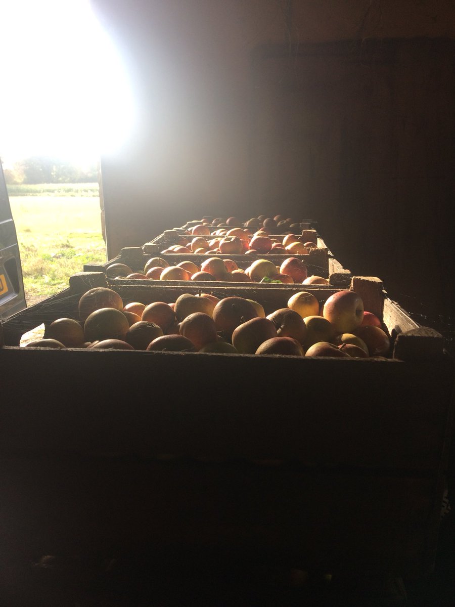 Burnard's Cider tweet media