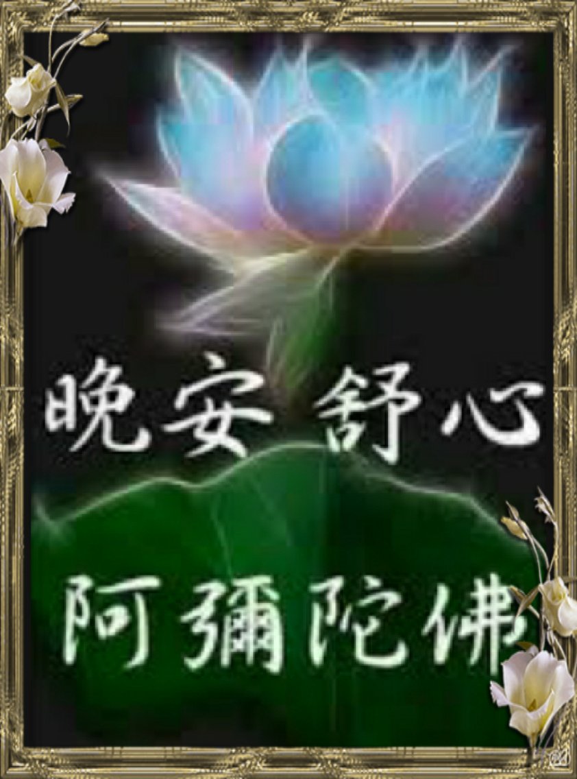 Twitter पर 茄苳樹 好友 晚安 吉祥如意