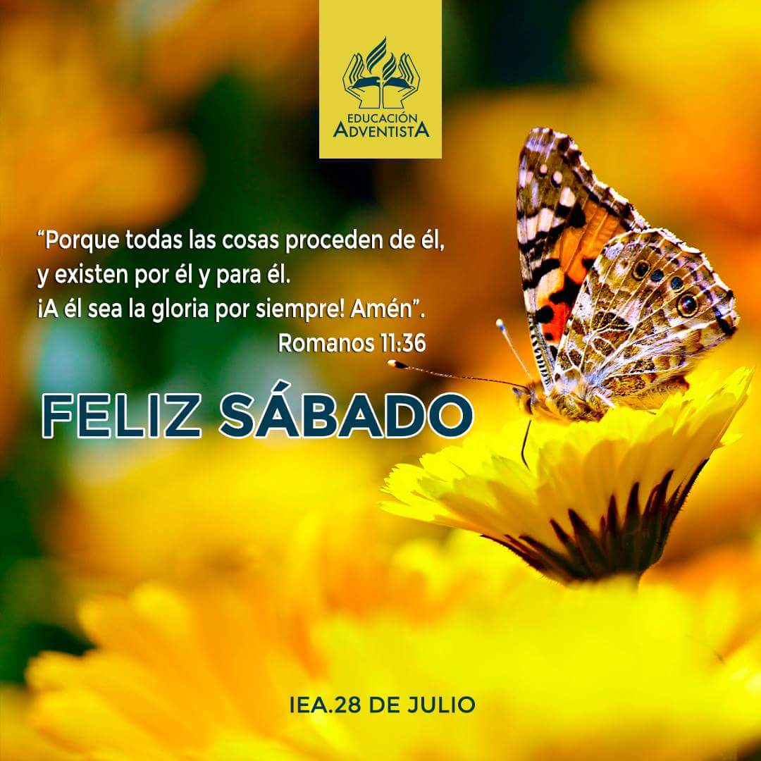Un feliz sábado a todos.
#IEA28deJulio
