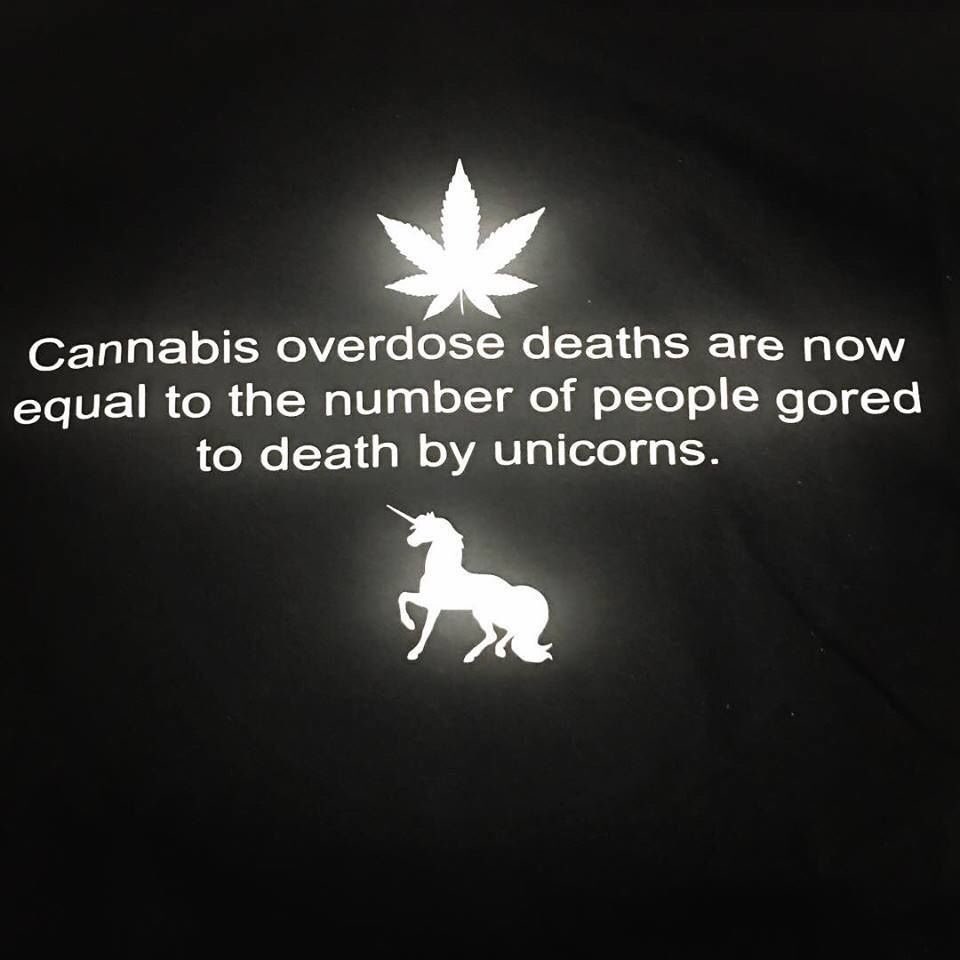 _Truffle_Report's tweet photo. BREAKING!! 

#CannabisCommunity https://t.co/uuU0Rj3fm1