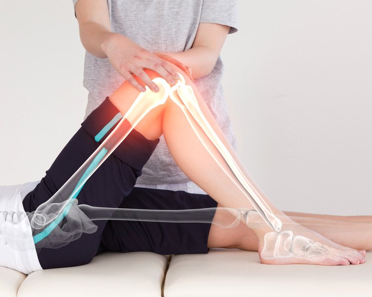 epracticetech's tweet photo. Software of #Osteopathy
https://t.co/mFUCIZMqHs https://t.co/rUBzFN3Hvk