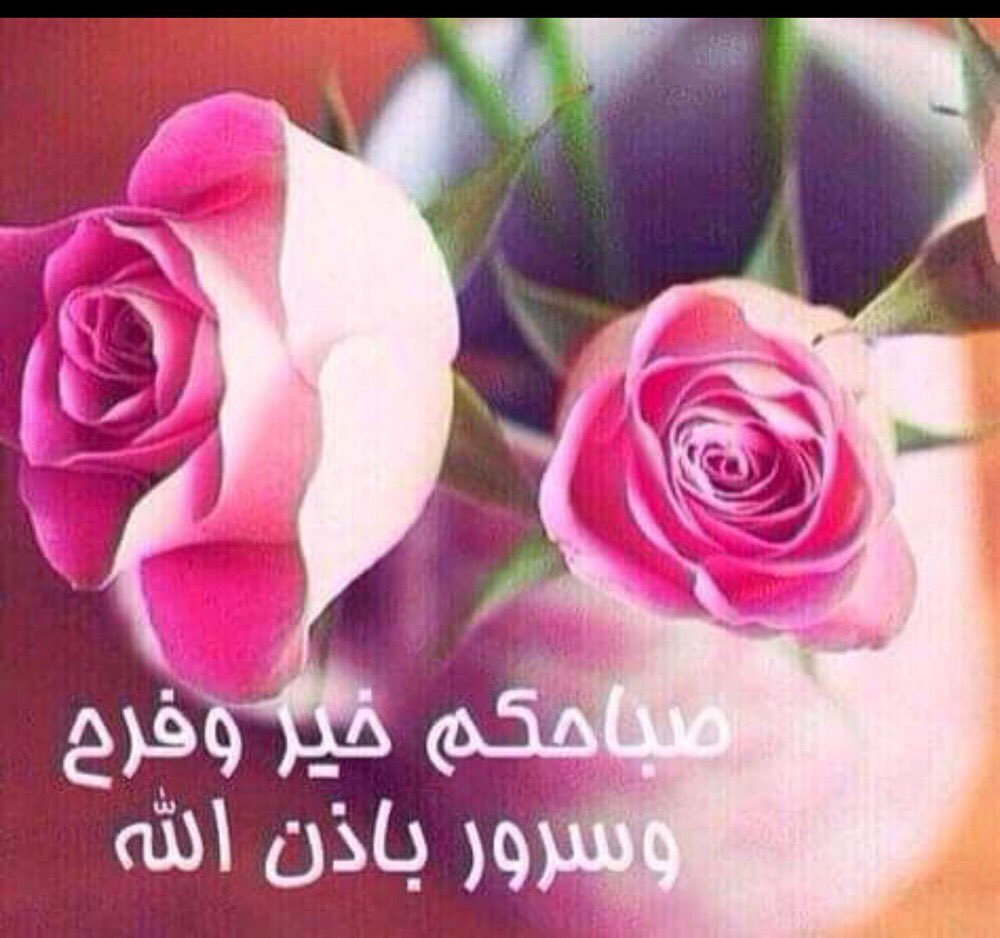 ASoumeiri's tweet photo. @AmalSalah111 https://t.co/4leBE0vCPg