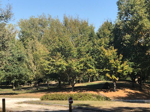 bernardcazeau's tweet photo. Dans un cadre apaisant et convivial de 1 000 m2 couvrant les enjeux de la production thermique, j'assiste au 2ème Festival des Energies sur le site de #Beauclair à #Douchapt ce weekend. L'innovation, l'autosuffisance & le recyclage endométaboliques sont l'avenir de la croissance. https://t.co/7T4I42aH74