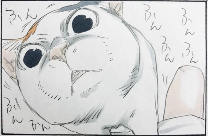 『何食べたの?』 