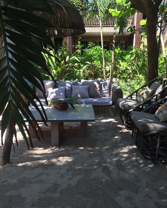 BeTulumHotel's tweet image. Connecting with nature...🌴 #Tulum #BeTulum #BoutiqueHotel #Be #BeUniverse #BeUnique⠀
📷@ceciliadelaurente
