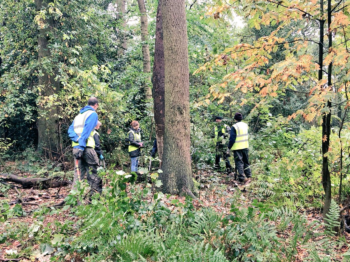 A wet morning <a href="/FoCWoodsDerby/">Friends of Chaddesden Wood</a> Chaddesden Wood LNR. 8 fantastic #volunteers braved the 🌧 to look after the #ancient #woodland <a href="/GoodThingsDerby/">Good Things Derby</a> 🌳💪🏻😊