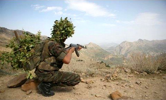 Шгш википедия. Algerian Army. Algerian Civil Defence. Algeria time.