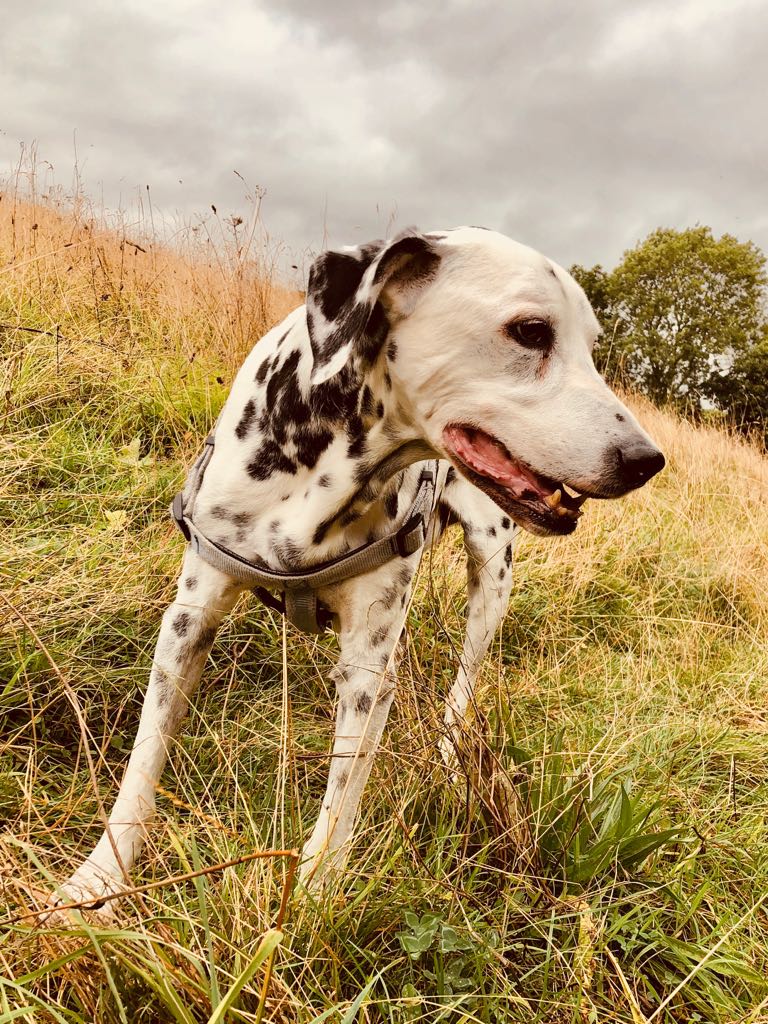 emma monkman tweet media