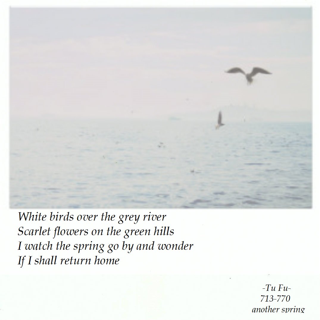 Draw_and_Wings's tweet photo. White birds over the grey river
Scarlet flowers on the green hills
I watch the spring go by and wonder
If I shall return home.

#TuFu,#AnotherSpring, https://t.co/MTUHRahQTB