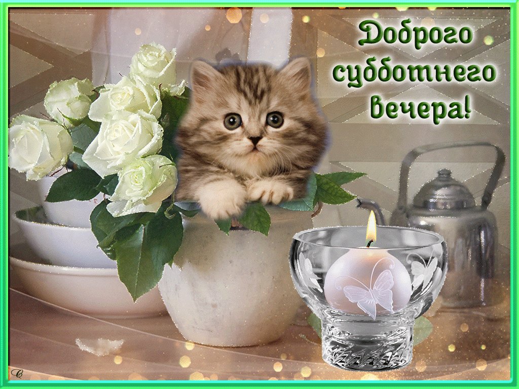 Открытки новосибирске, открытки субботнего вечера