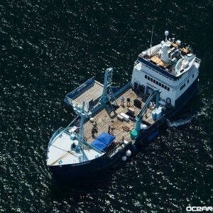 #SharkTracker Lager tweet media