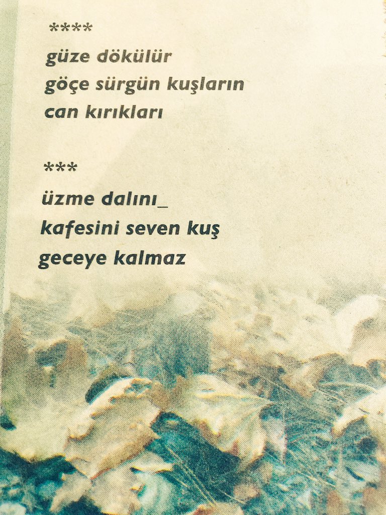 guzmasal's tweet photo. #OTdergi #ekim #haikular bir de yapraklar https://t.co/R98mHMg2SK