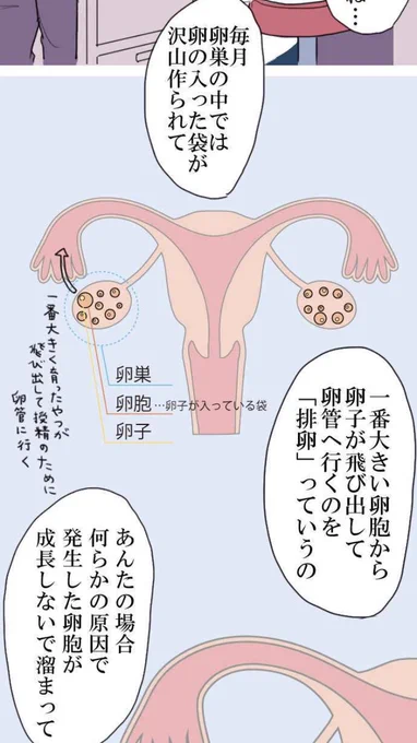 今夜の妊活豆知識。

生理不順、生理周期が長い人は多嚢胞性卵巣症候群(PCOS)かも?
体質または生活習慣によって、年齢に関わらず女性の20人に1人の割合でいるそうです。
排卵障害が起こり、不妊の原因になり得ますので、気になる方は婦人科へ! 