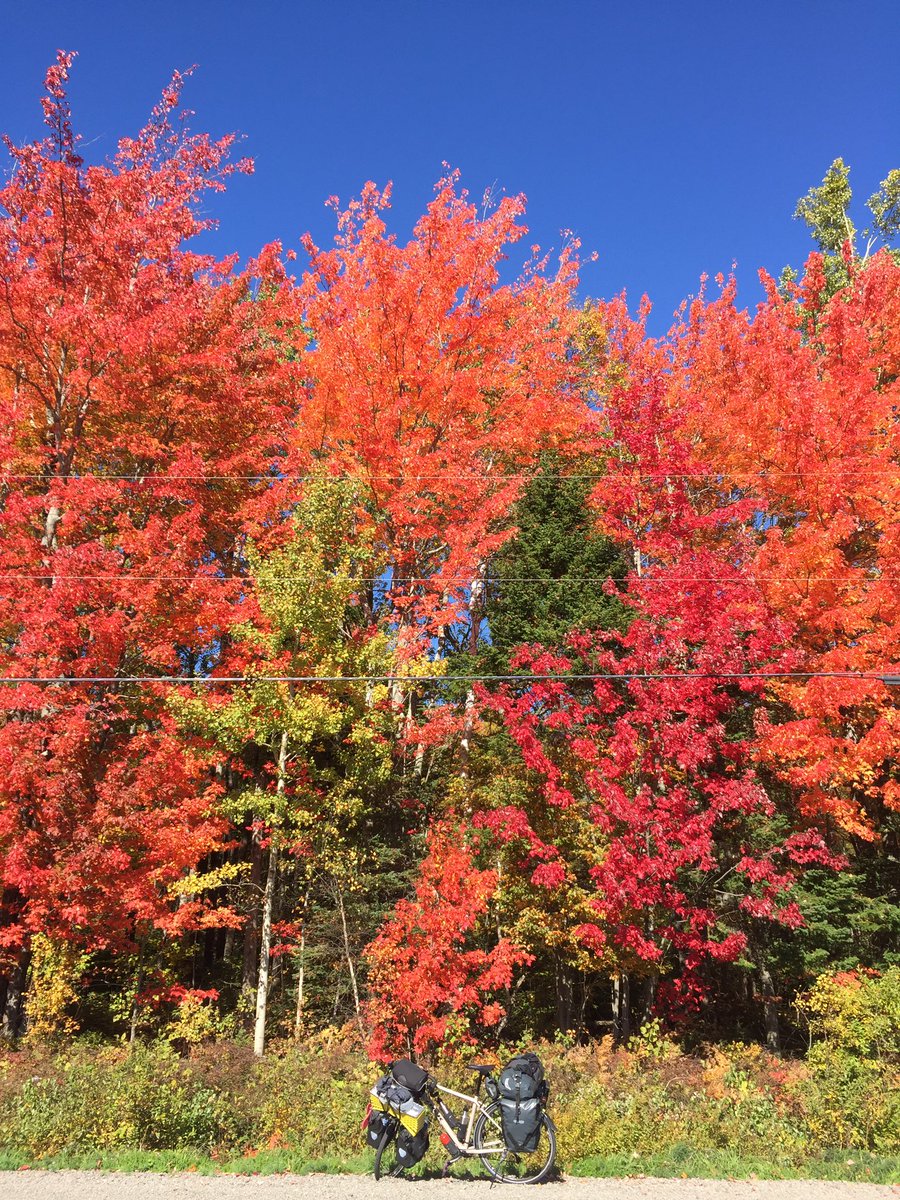 listening2trees's tweet photo. Hey @TrekBikes - yesterday was one of the happiest days if our lifes. 82 km from Moncton to River Run Camping (112 towards Fredericton, New Brunswick, Canada) with our #trek920‘s and the whole day no clouds, almost no cars but coloured trees as far as one can see!
#cyclinglife https://t.co/DX7ChBR5iM