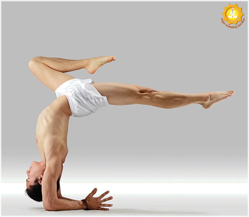 yoga_advisor's tweet photo. "Body is the bow, asana is the arrow, &amp; the soul is the target." B.K.S.lyengar
For more info about, course check the website:- https://t.co/g4QsO3a3v0
#yoga #yogajourney #yogamat #studentclassroom #yogahall #strenth #training #yogaeverydamnday #yogachallenge #peace #HealthyLiving https://t.co/GDzBOextDo