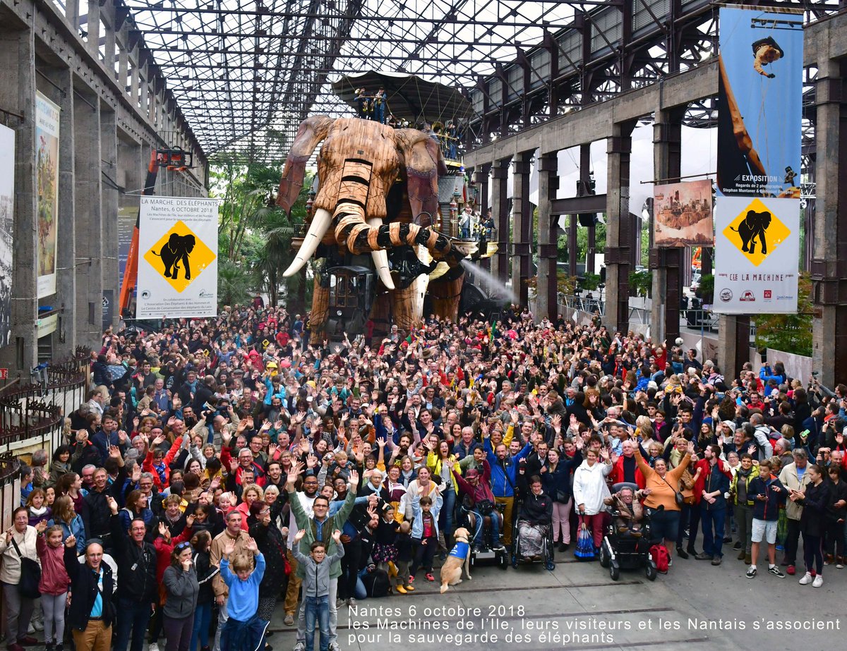 lesMachinesNtes's tweet photo. Et voici la photo de ce moment où 3 000 nantais entourent notre Grand Eléphant pour soutenir la cause des éléphants en voie de disparition ! https://t.co/wTBDbfAiDz