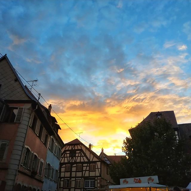 VirginieDB's tweet photo. Evening mois 😍

#paysdebarr 
#visitpaysdebarr 
#visitalsace 
#welovealsace 
#jaimelafrance https://t.co/zqgyNnCNw9