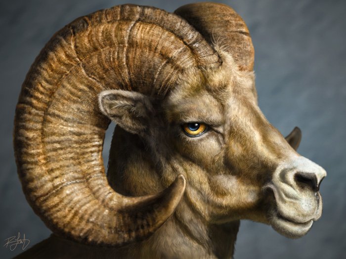 paolini's tweet photo. Current mood: https://t.co/tNZLdgjELG