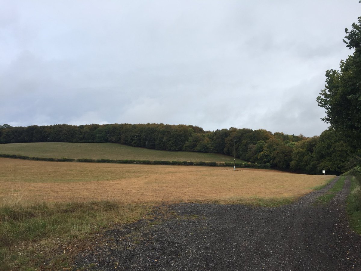 The course is set and the weather is clearing. ☀️ and 14 planned for tomorrow so come and join us for 5 or 10k and then put your feet up 😉 Registration open from 0830; race starts at 10 #friethhilly