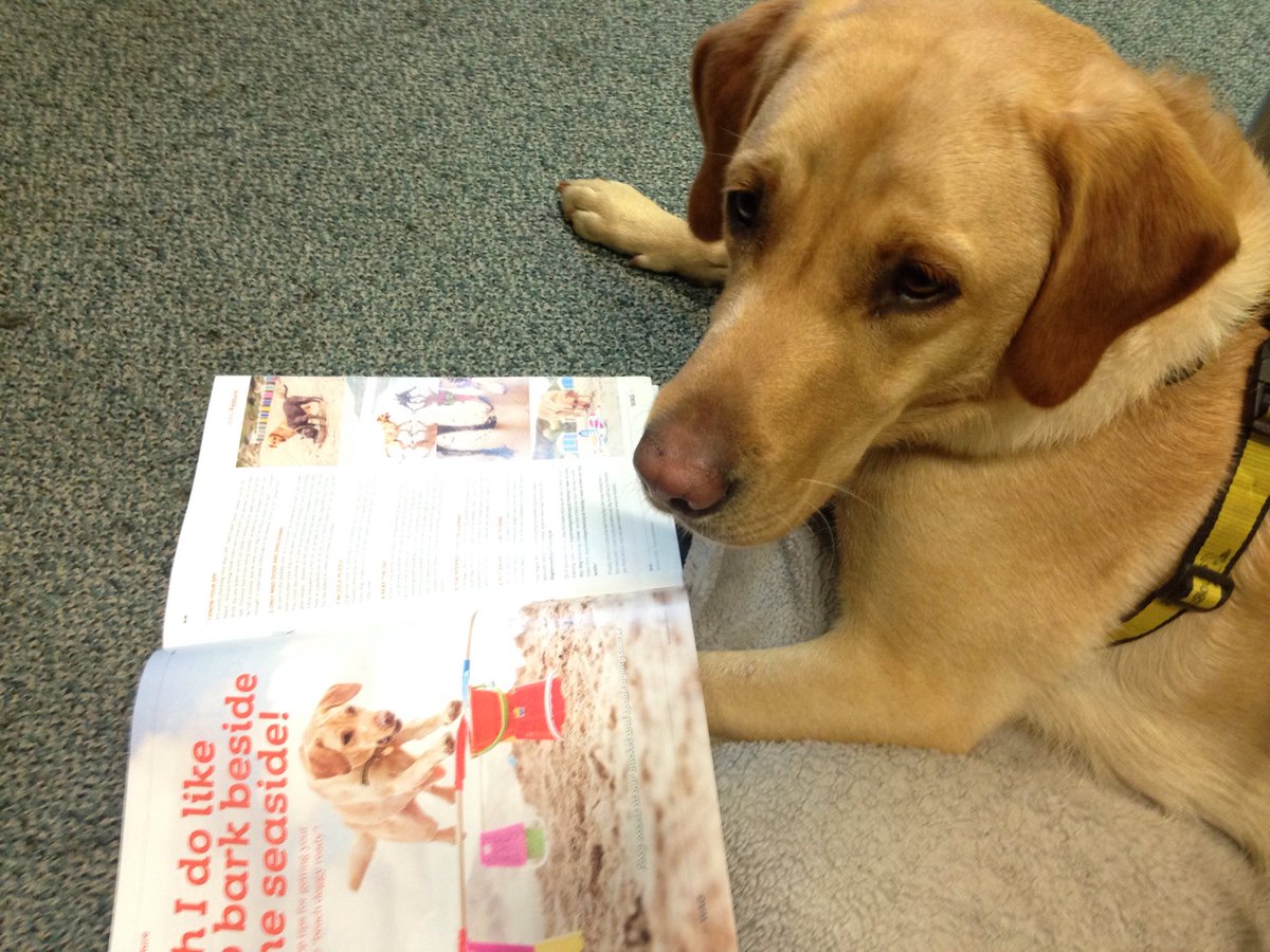 DT_Ilfracombe's tweet photo. Thanks to everyone at @TivLibDevon for making us feel so welcome at today's #FunPalace - being in a library, #FoxyLab took time out to read about herself in the @DogsTrust summer issue of Wag mag! https://t.co/snUQT4Ol1N