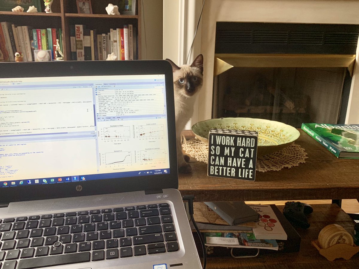 odetakushi's tweet image. In case you’re wondering if I could get any cooler- this is what my Saturday looks like. #RProgrammer #CatLady