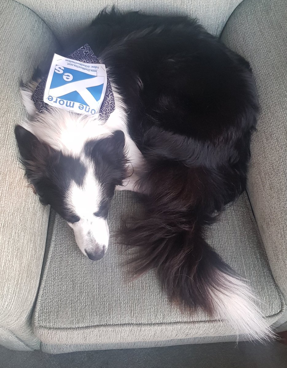 OneMoreYesScot's tweet photo. The end of a long, but fun day. The dream shall never die. #AUOBEdinburgh #AUOB #OneMoreYes https://t.co/VauC7xxduJ