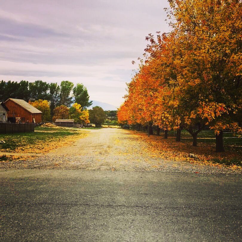 heritgegiftshop's tweet photo. In between conference sessions come and enjoy the beauty at the park and learn some more about church history. @Thisistheplace1 #LDSGeneralConference #LdsConf #ShopHeritageParkConferenceWeekend #saltlakecity #2HourBlock https://t.co/uMzySdtfpH