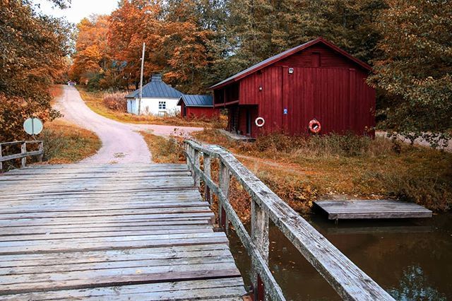 ellitoney's tweet photo. Beautiful fall day exploring Pikkala 😍 https://t.co/cPfbu9GBAO https://t.co/nXGnQ1e9ta