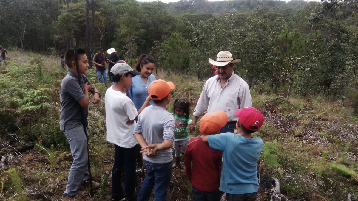 AlfredoJaimesB4's tweet photo. El mejor ejemplo, trabajo conjunto y respeto a la naturaleza, la Sierra de Nanchititla, nuestro principal fabrica de agua y oxigeno, #TodosUnidosPorLuvianos
#AlfredoSiCumple @alfredodelmazo 
@CONAFOR https://t.co/PDDuhaEh4o