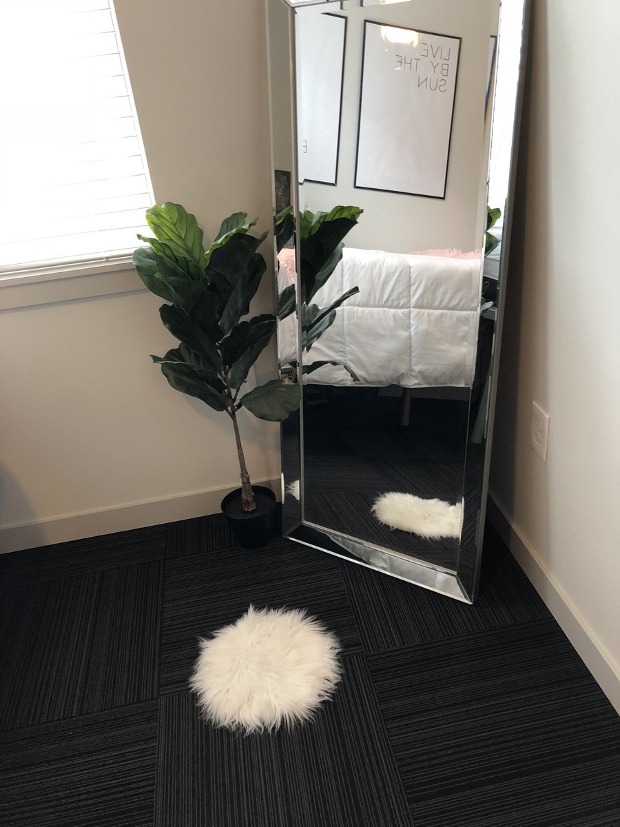ashlinrae's tweet photo. Thx Walmart love my new rug !!! https://t.co/vYMRi5FjoJ