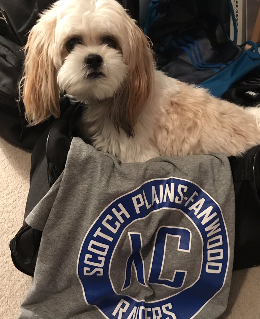 janetlaf1's tweet photo. Good luck to Nick and all the SPF Raiders today at the Shore Coaches Invitational 💙🏃 #raiders #seeyaatthefinishline @njmilesplit https://t.co/XK9MWZdAXp