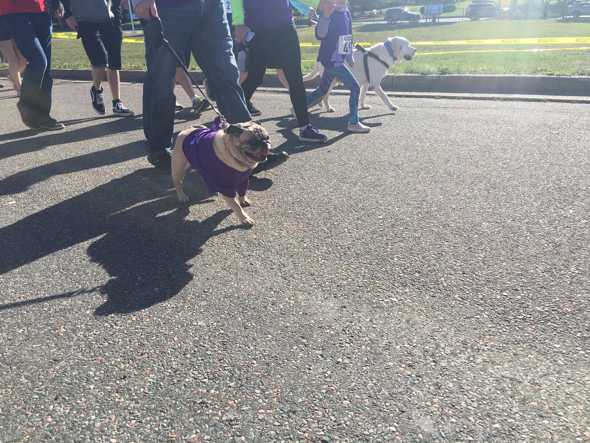 Both four and two legged participants are taking part <a href="/SweetCarolineFn/">Sweet Caroline Foundation</a> <a href="/Global_NB/">Global New Brunswick</a>