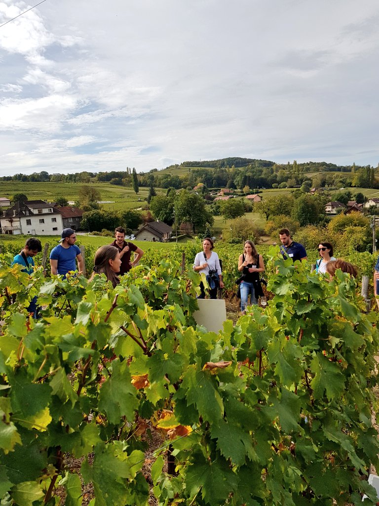 SavoieMontBlanc's tweet photo. 10 Instagrameurs découvrent le territoire de #Yenne entre Rhône et Dent du Chat, sur la thématiques des saveurs #savoiemontblanc 📸🍇🧀 https://t.co/5MsnZr93dN