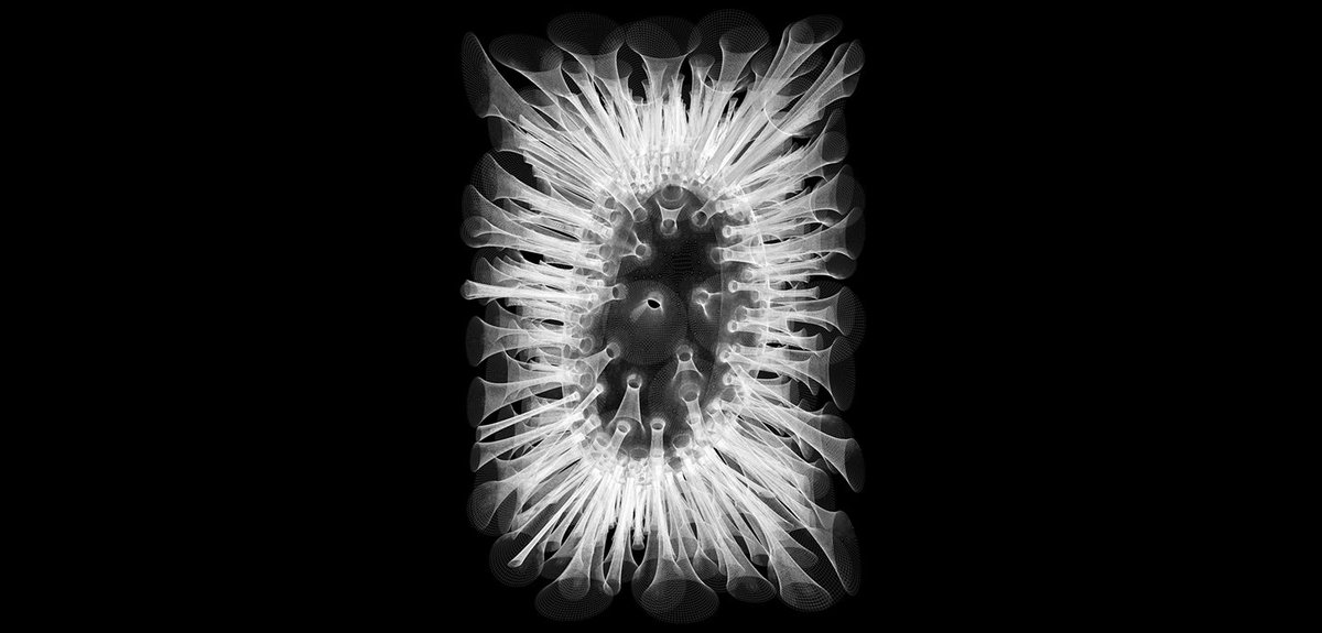 CornellAAP's tweet photo. Work by @jennysabin is featured in a solo exhibition at #SimonsCenter gallery at @stonybrooku. Learn more: https://t.co/lhikBQnagh https://t.co/xR0UN62JfW