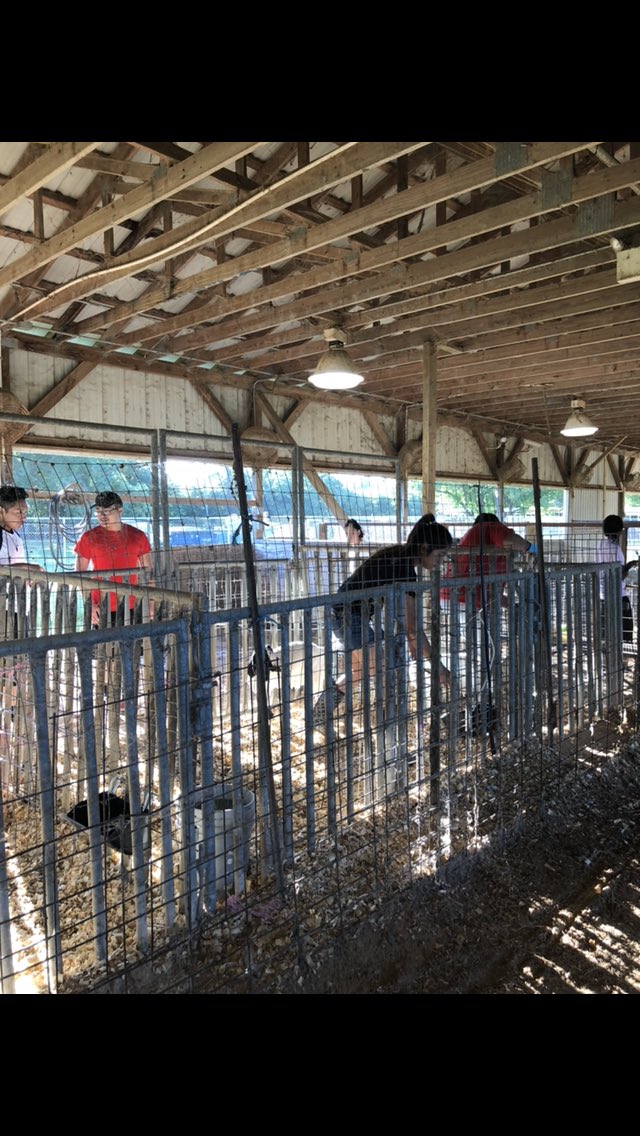 DBrannanFFA's tweet photo. Nothing like a little Saturday morning barn cleanin’ fun!! #AliefFFA @AliefFfa @AliefCTE https://t.co/lWluZcSwMA