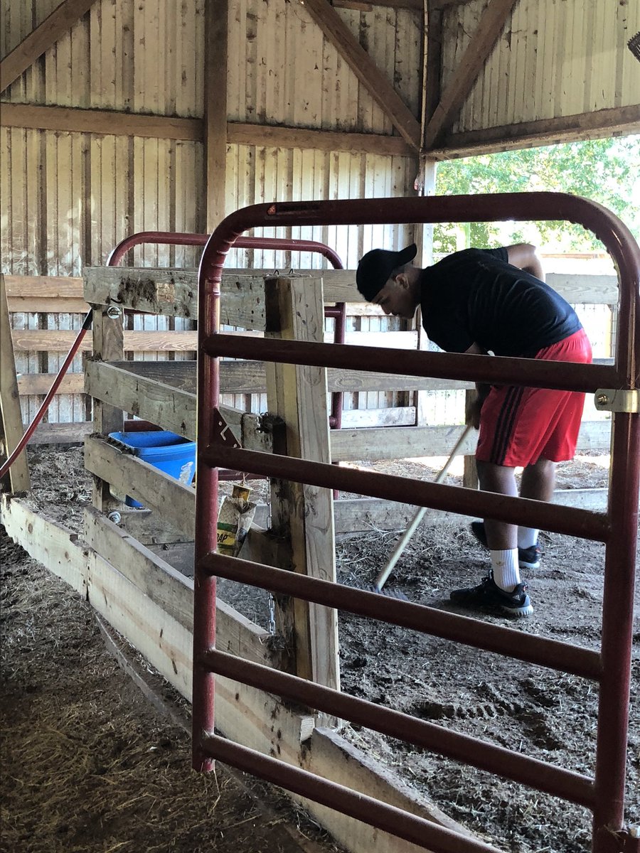DBrannanFFA's tweet photo. Nothing like a little Saturday morning barn cleanin’ fun!! #AliefFFA @AliefFfa @AliefCTE https://t.co/lWluZcSwMA
