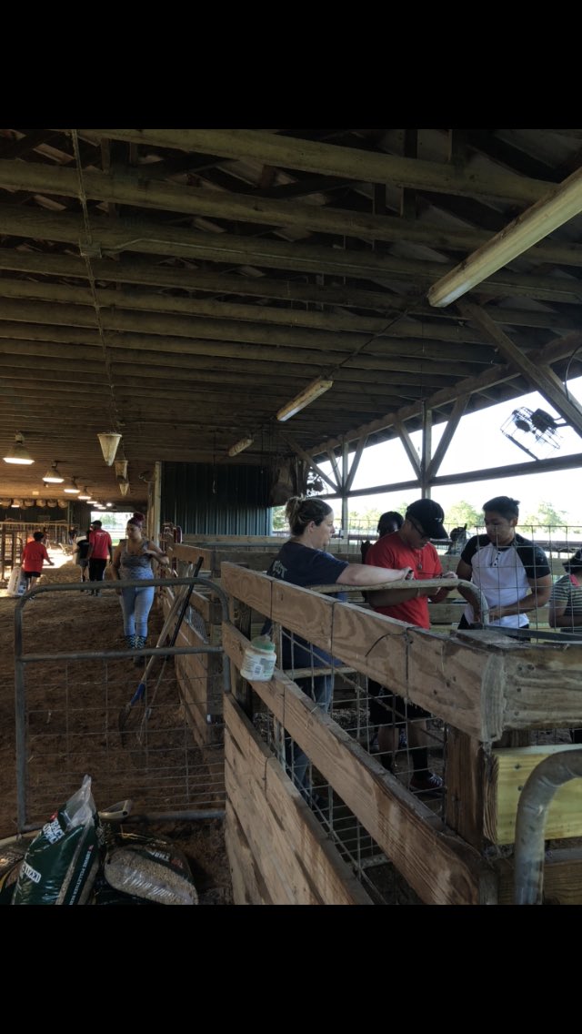 DBrannanFFA's tweet photo. Nothing like a little Saturday morning barn cleanin’ fun!! #AliefFFA @AliefFfa @AliefCTE https://t.co/lWluZcSwMA