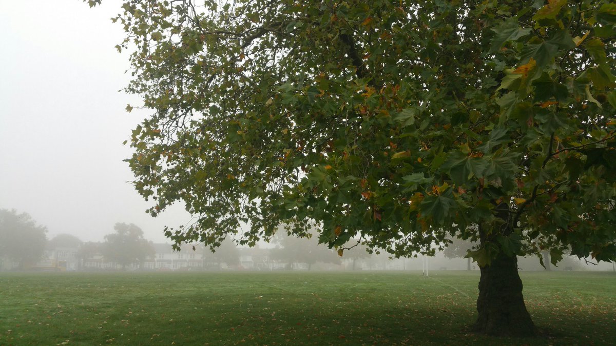 Plmstd's tweet photo. Autumn returns to Plumstead Common #plumstead #se18 #plumsteadcommon #anotheryearpasses https://t.co/tQDCxwCD1N
