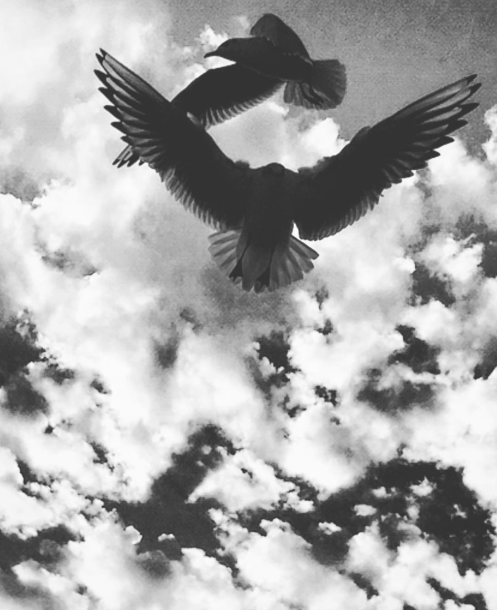 #AslınaBakarsak Bazen kendini bulmak için, önce kaybetmek gerek.